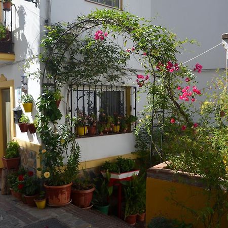 Finca El Molino De Aceite Jubrique Eksteriør bilde