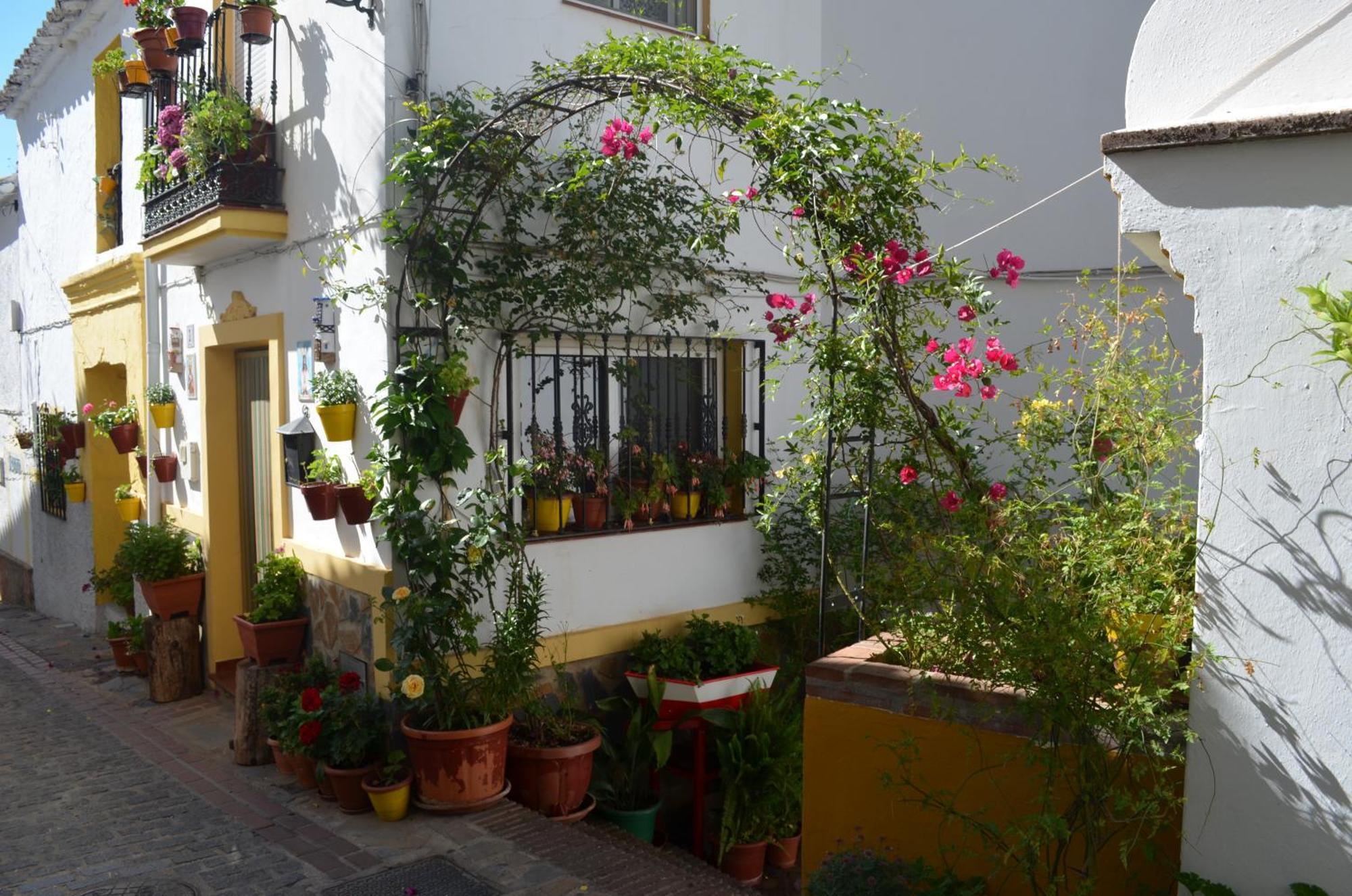Finca El Molino De Aceite Jubrique Eksteriør bilde