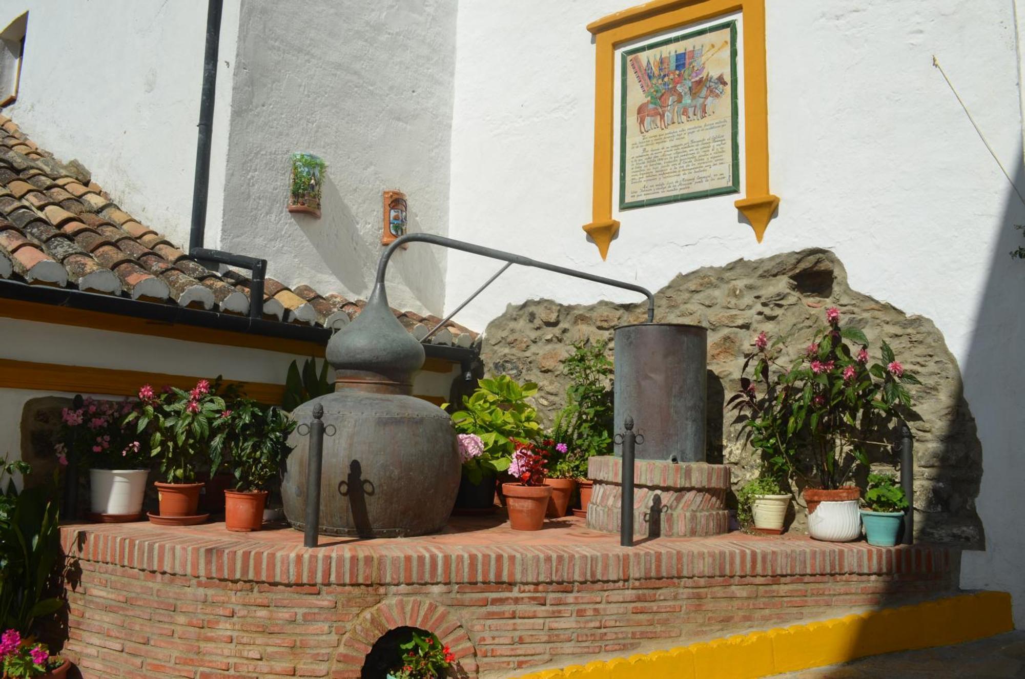 Finca El Molino De Aceite Jubrique Eksteriør bilde
