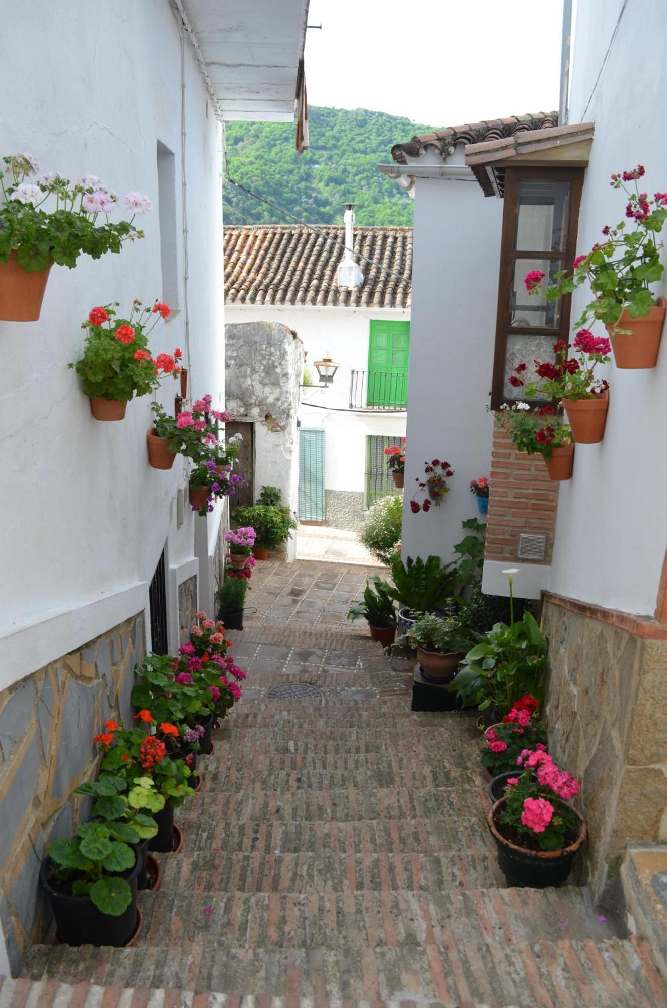 Finca El Molino De Aceite Jubrique Eksteriør bilde
