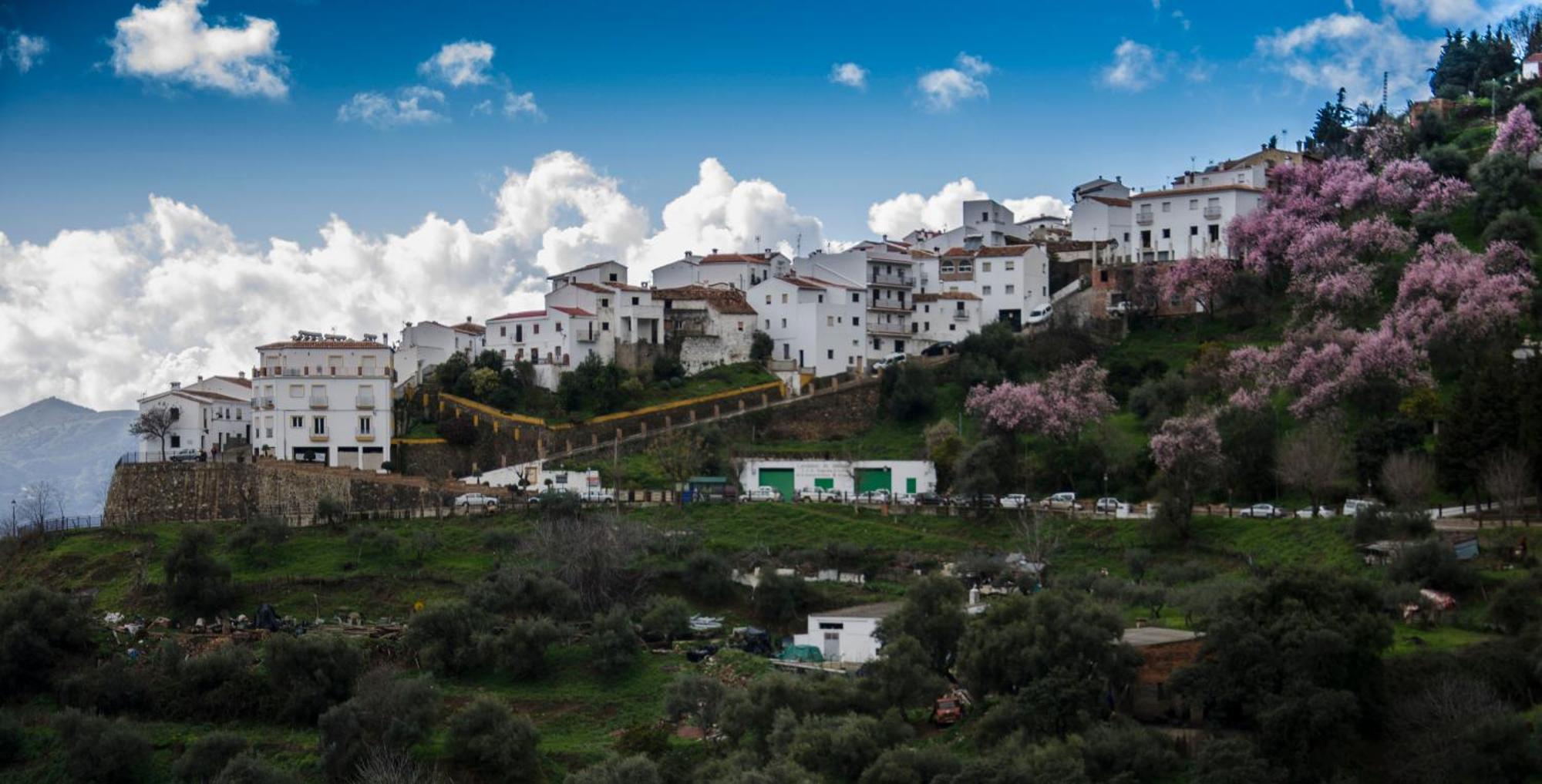 Finca El Molino De Aceite Jubrique Eksteriør bilde