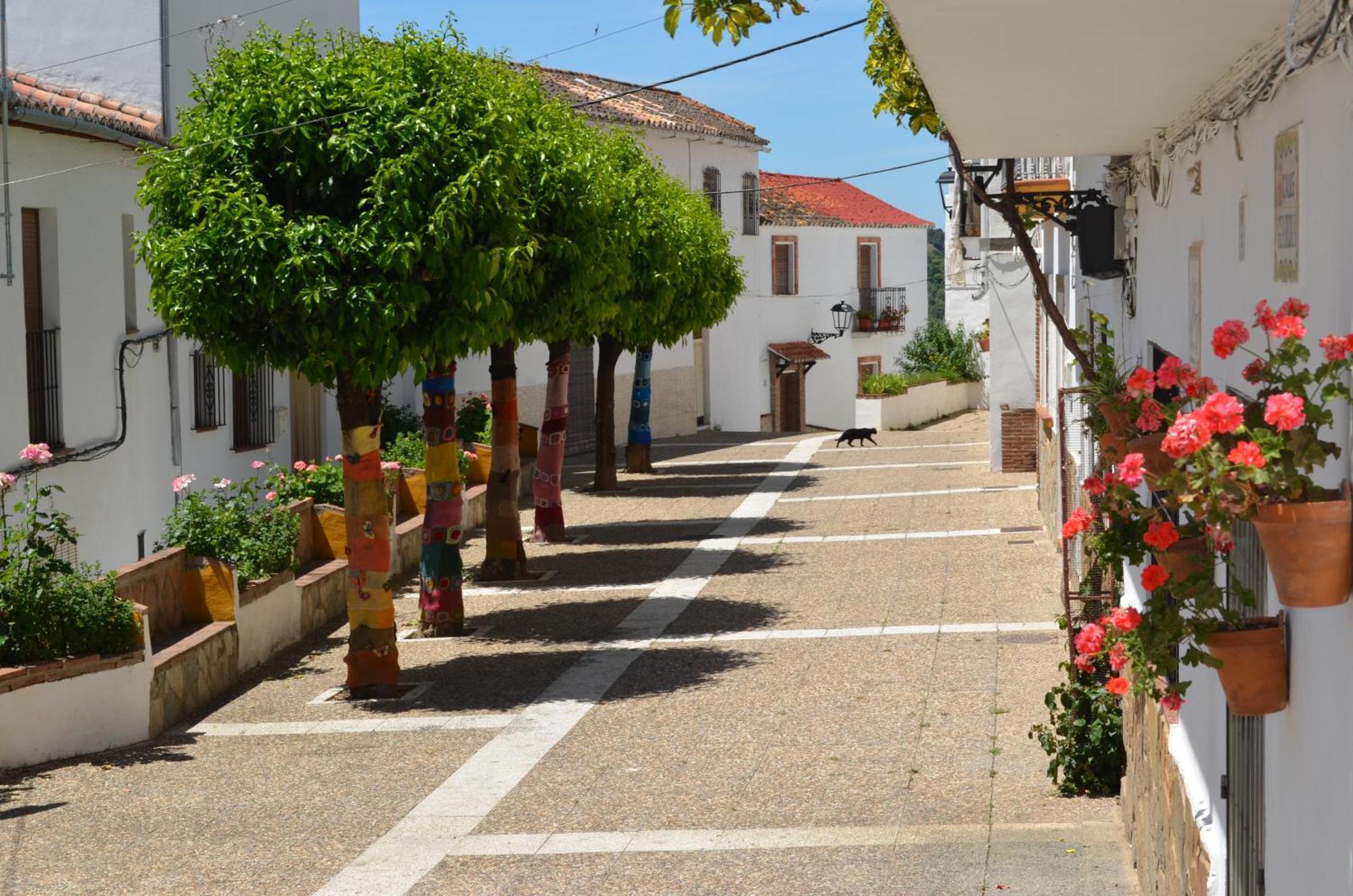 Finca El Molino De Aceite Jubrique Eksteriør bilde