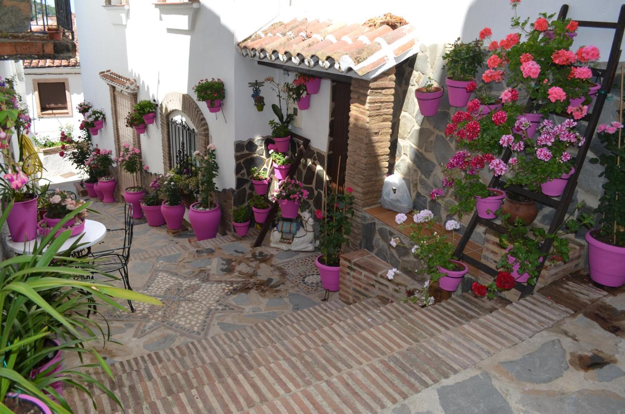 Finca El Molino De Aceite Jubrique Eksteriør bilde