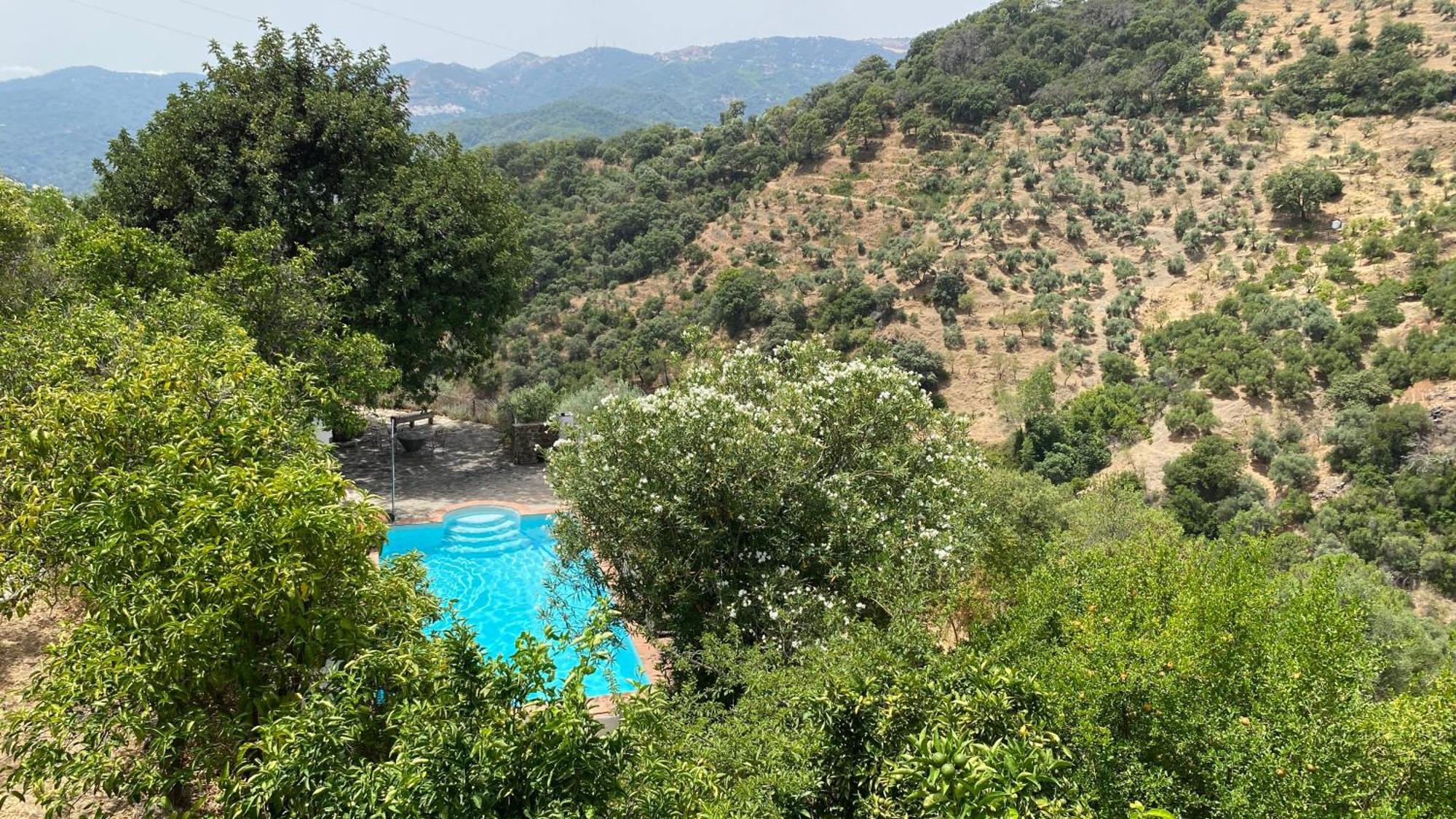 Finca El Molino De Aceite Jubrique Eksteriør bilde